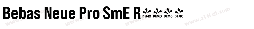 Bebas Neue Pro SmE R字体转换